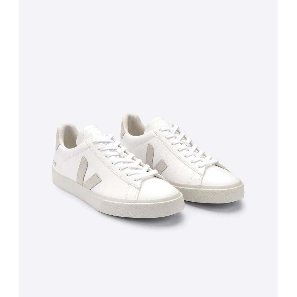 Men's Veja CAMPO CHROMEFREE Low Tops Sneakers White/Beige | SG 203KOR